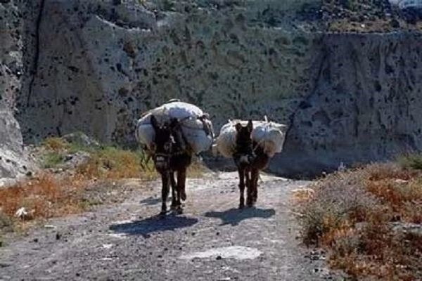 Τα χερσαία μέσα μεταφοράς στην Αρχαία Ελλάδα